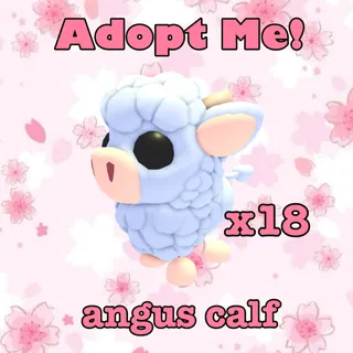 Angus calf - adopt me!