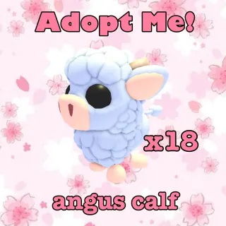 Angus calf - adopt me!