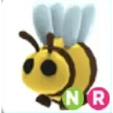 NR bee