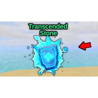 TRANSCENDED STONE X100