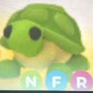 NFR Turtle