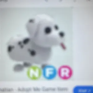 NFR Dalmatian