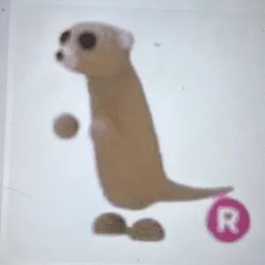 Meerkat  Ride only