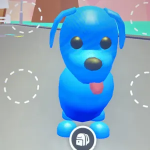 Blue dog  FR