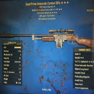 NW Combat Rifle