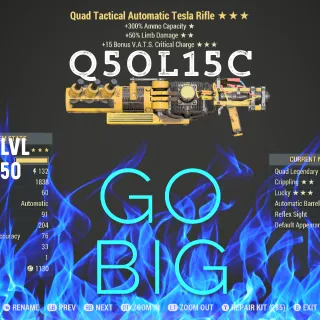 Q50L15C Tesla 