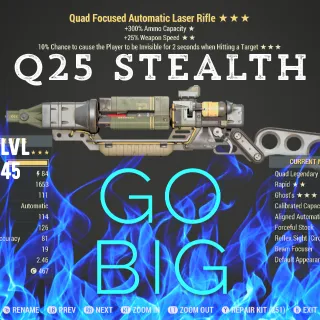 Q25 NU Laser Rifle 