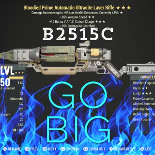 B2515 Ult Laser Rifle 