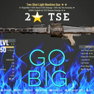 2⭐️ TSE Light Machine Gun 