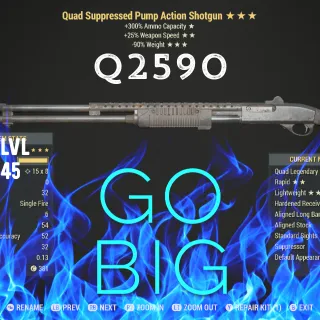Q25 90 Pump Action Shotgun