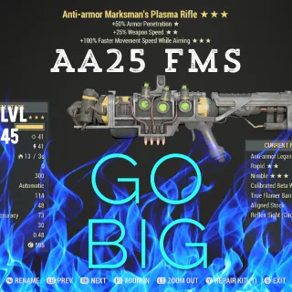 AA25 Fms Plasma Rifle 