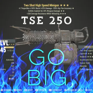 TSE Mini Gun 