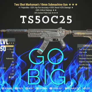 TS5025 10mm Submachine Gun 