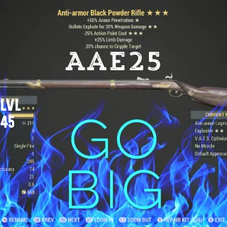 AAE25 Black Powder Rifle 