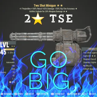 2⭐️ TSE Mini Gun 