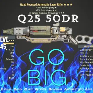 Q25 NU Laser Rifle 