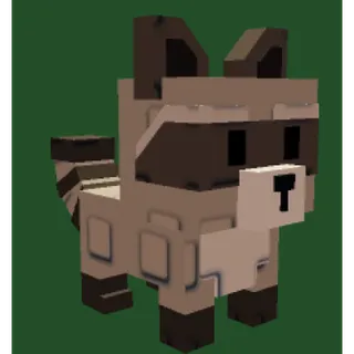 ⭐️Raccoon ⭐️ GROW A GARDEN 2 (GAG 2)⭐️ | Fast Delivery