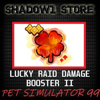 X100 LUCKY RAID DAMAGE BOOSTER II