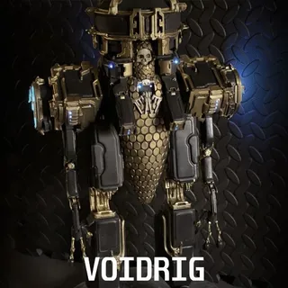 VOIDRIG