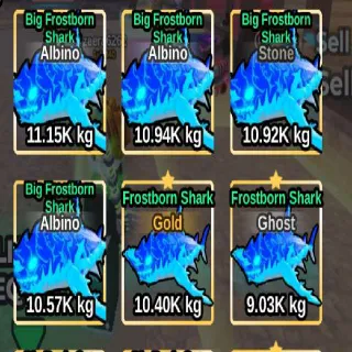 FROSTBORN SHARK