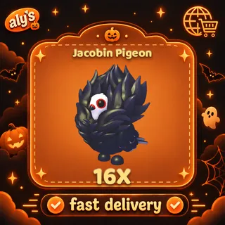 16x Jacobin Pigeon