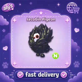 N Jacobin Pigeon