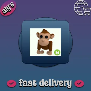 N Monkey