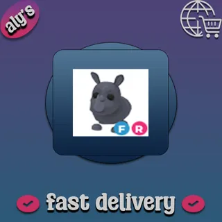 FR Rhino