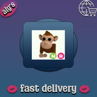 NR Monkey