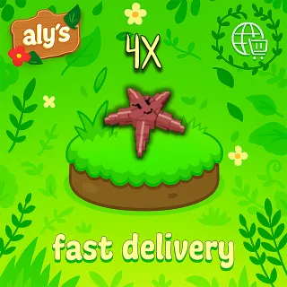 x4 Starfish