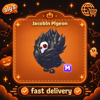 M Jacobin Pigeon