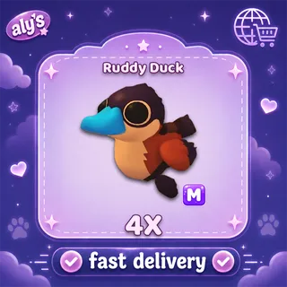 4x M Ruddy Duck