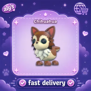 Chihuahua