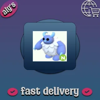 N Yeti