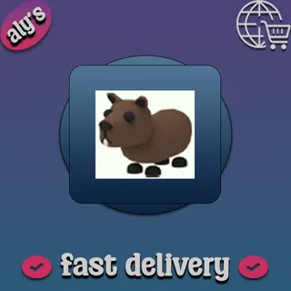 Capybara