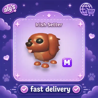 M Irish Setter