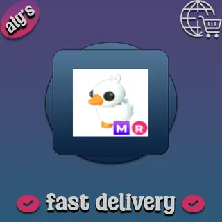MR Happy Duckling
