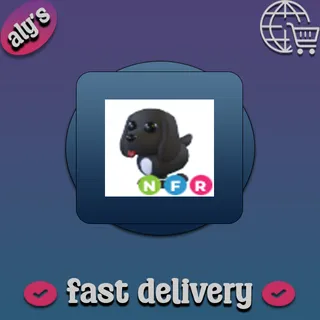 Neon FR Royal Palace Spaniel