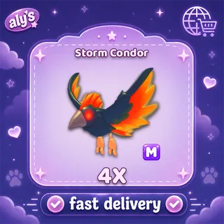 4x M Storm Condor