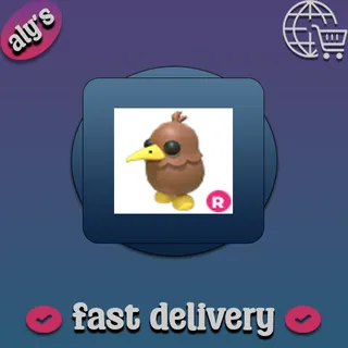 R Kiwi