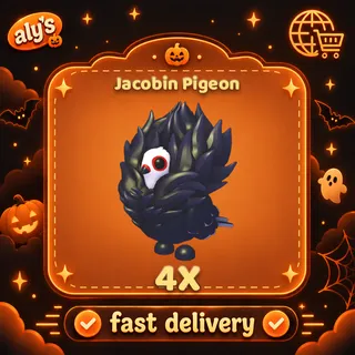 4x Jacobin Pigeon