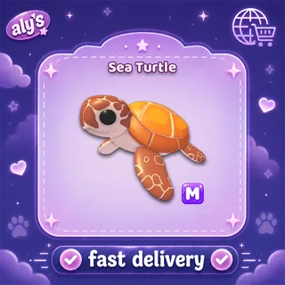 M Sea Turtle