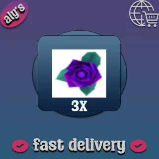 x3 Purple Rose