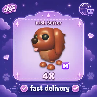 4x M Irish Setter