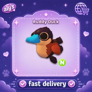 N Ruddy Duck