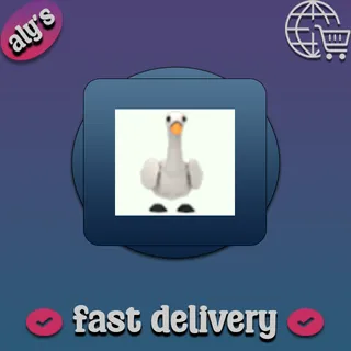 Swan