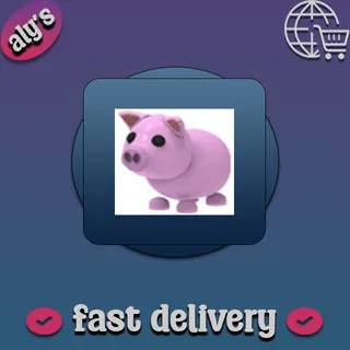 Pig