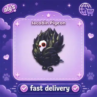 Jacobin Pigeon