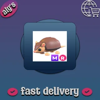 MR Armadillo