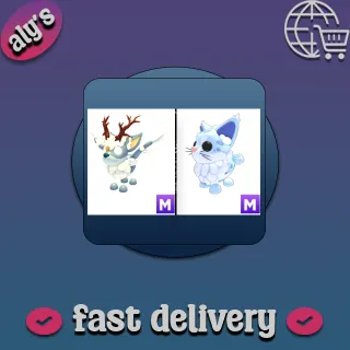 M Christmas Spirit + M Maine Coon